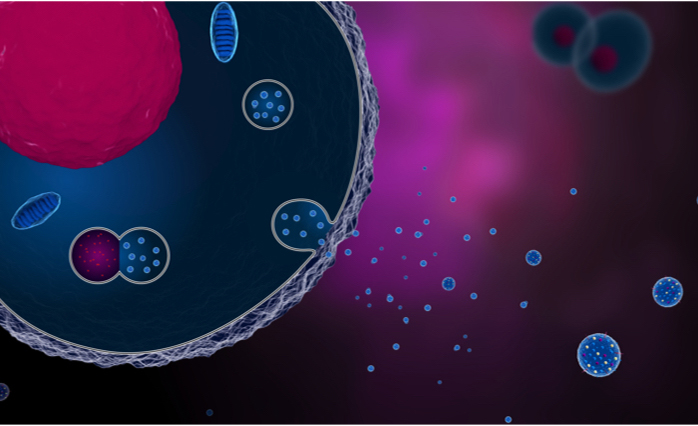 Lee más sobre el artículo Nano-enabled technologies for clinical application of extracellular vesicles