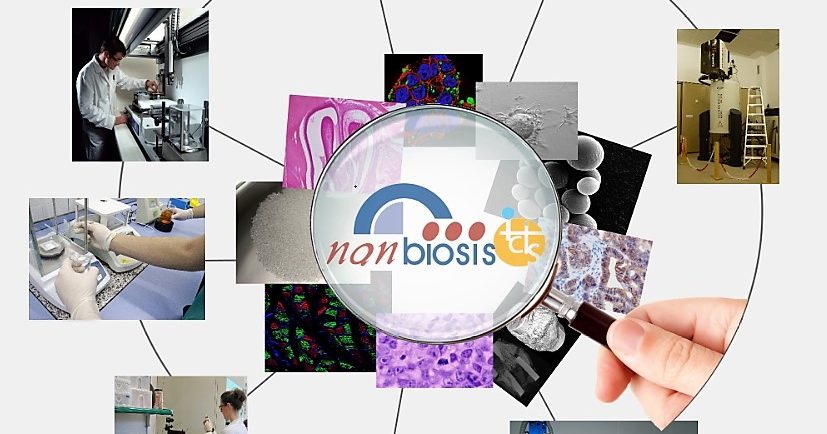 Lee más sobre el artículo Integrated Cutting-edge Biomedical solutions for the nanotechnology based MedTech Sector